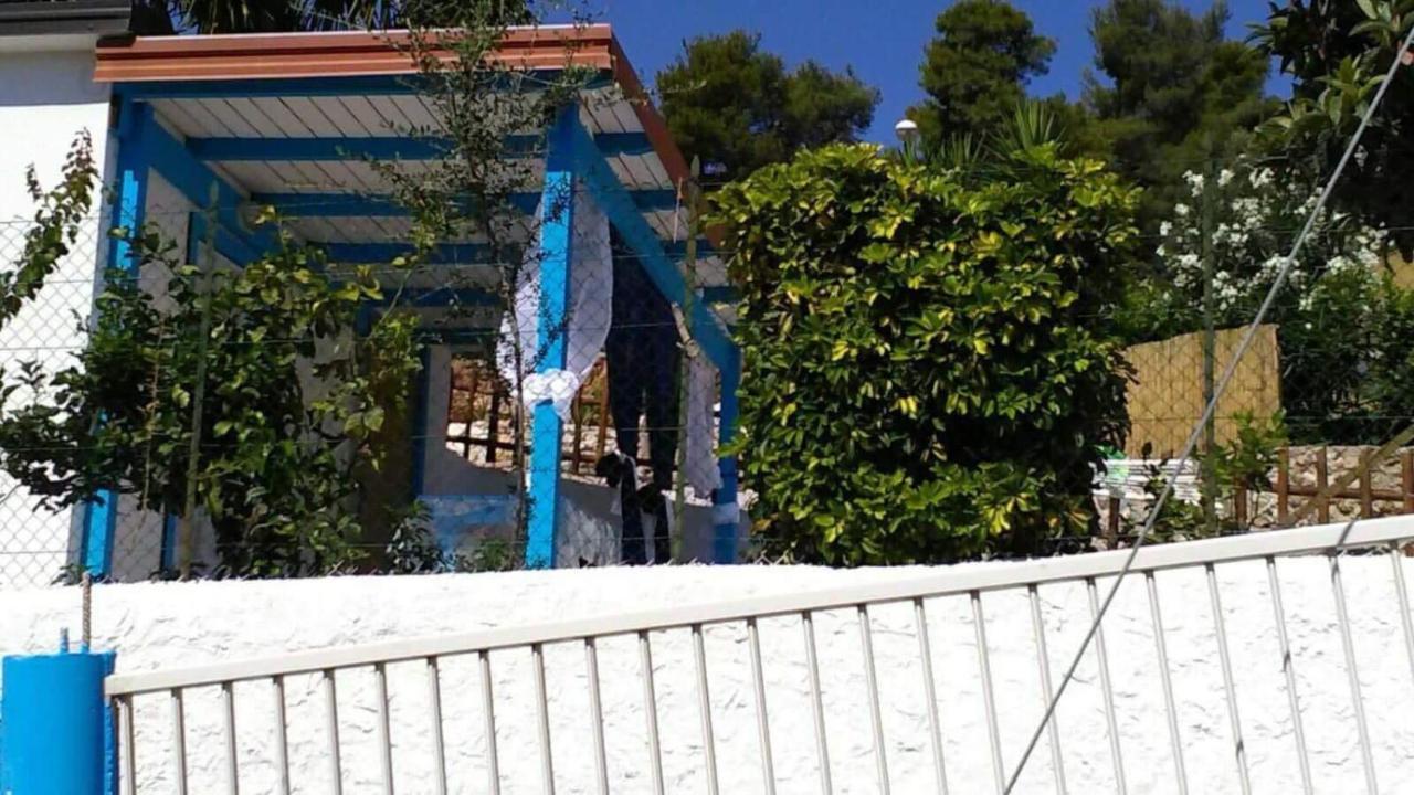Casa Vacanze Leonardo ペスキチ エクステリア 写真
